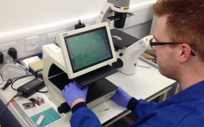 암실 없이 형광이미지를 관찰하자!